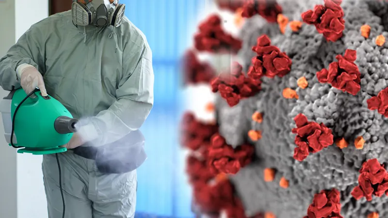 Disinfection Services