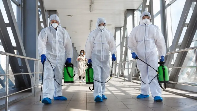 Pest Control Services